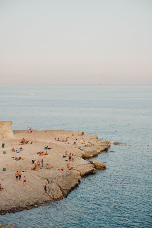 《瘋子》經(jīng)典影評(píng)1000字 《瘋子》經(jīng)典影評(píng)1000字