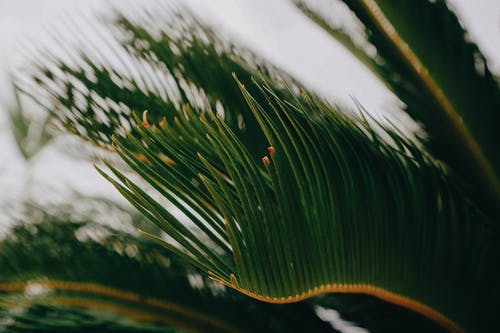 勵志高中畢業(yè)留言 勵志高中畢業(yè)留言