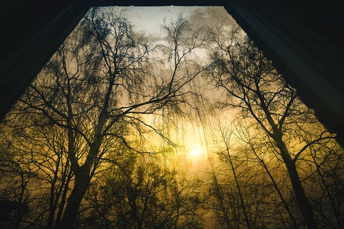 熱推頂級巨星簽到系統(tǒng)小說周行蘇欣欣全文閱讀 熱推頂級巨星簽到系統(tǒng)小說周行蘇欣欣全文閱讀