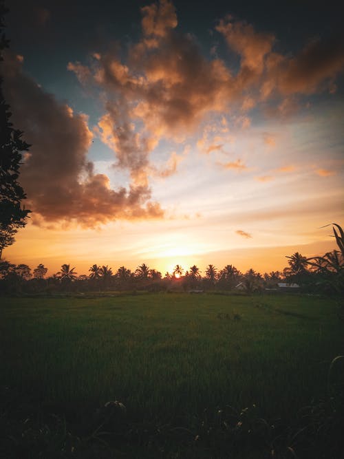 祝臘八節(jié)快樂的祝福語38句 祝臘八節(jié)快樂的祝福語38句