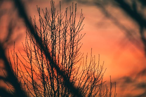 洛奇經(jīng)典臺詞 洛奇經(jīng)典臺詞