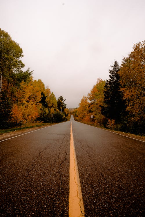 誠實守信詩歌朗誦稿3篇 誠實守信詩歌朗誦稿3篇