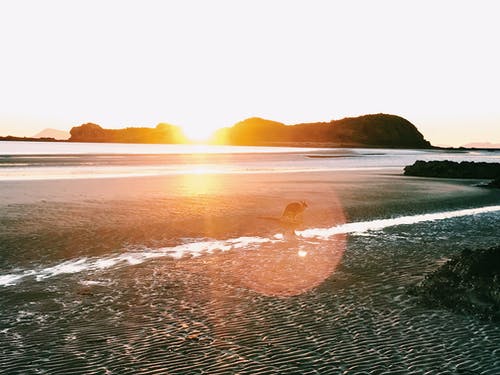 歌舞青春經(jīng)典臺(tái)詞 歌舞青春經(jīng)典臺(tái)詞