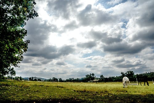 復(fù)生英明的君王小說趙如趙羽全章節(jié)閱讀 復(fù)生英明的君王小說趙如趙羽全章節(jié)閱讀