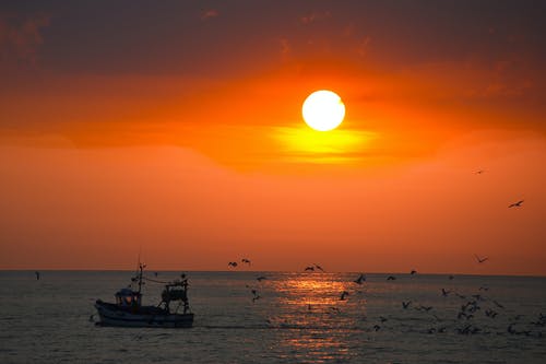 《水調(diào)歌頭·和馬叔度游月波樓》原文及譯文 《水調(diào)歌頭·和馬叔度游月波樓》原文及譯文