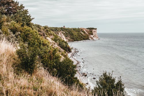 元旦節(jié)的祝福語錄
