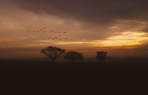 五年級(jí)想象作文未來(lái)的自己 五年級(jí)想象作文未來(lái)的自己