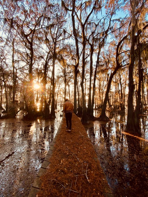 人生與我雜文隨筆