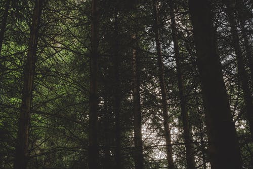 水仙子·詠江南原文翻譯及賞析 水仙子·詠江南原文翻譯及賞析