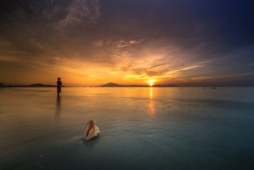 灰太狼語(yǔ)錄 灰太狼語(yǔ)錄