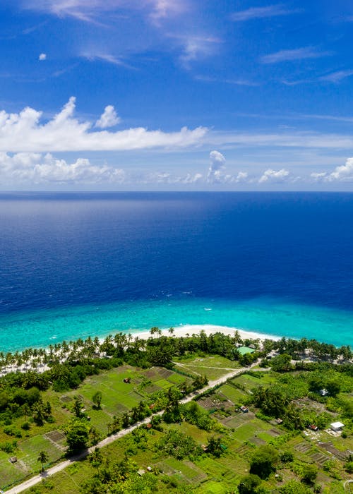 穿越凰女妖孽夫小說(shuō)甜寵孟拂顏宮御完結(jié)版閱讀 穿越凰女妖孽夫小說(shuō)甜寵孟拂顏宮御完結(jié)版閱讀