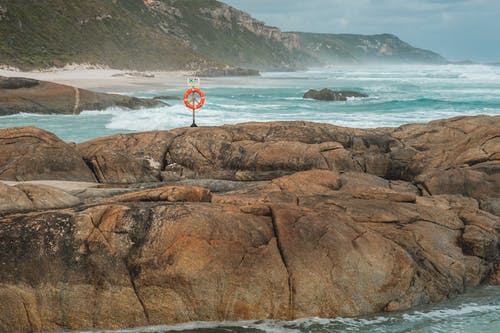 頭號相師小說重生朱亮林雨桐無刪減閱讀 頭號相師小說重生朱亮林雨桐無刪減閱讀