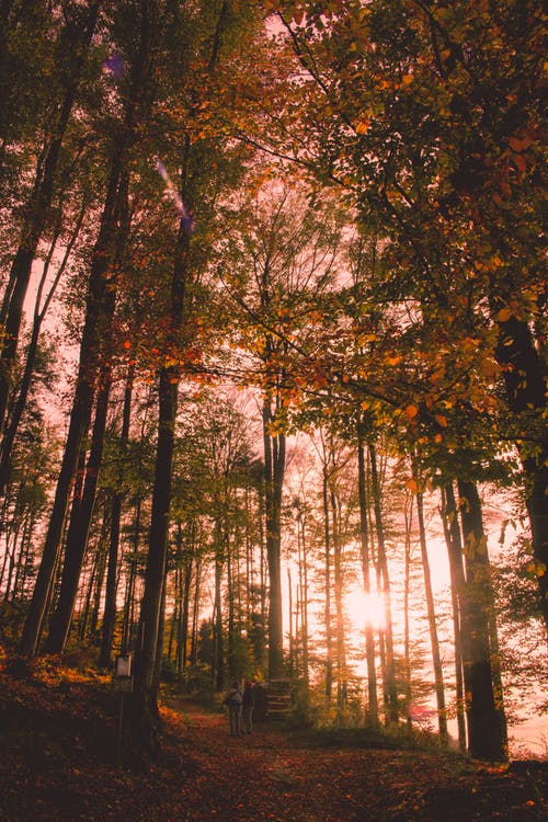 2021年通用生活哲理語句集錦76條 2021年通用生活哲理語句集錦76條