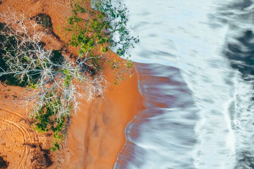 立春快樂的祝福語大匯總61條 立春快樂的祝福語大匯總61條