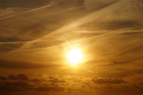 2020年感恩節(jié)快樂的祝福語合集45句 2020年感恩節(jié)快樂的祝福語合集45句