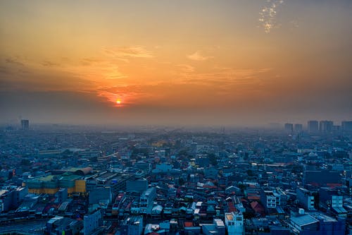 劍道獨(dú)尊小說(shuō)已完結(jié)江塵蘇月歌秀秀目錄閱讀