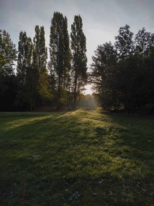 一代殺神小說重生葉清歡沐子溪目錄閱讀 一代殺神小說重生葉清歡沐子溪目錄閱讀