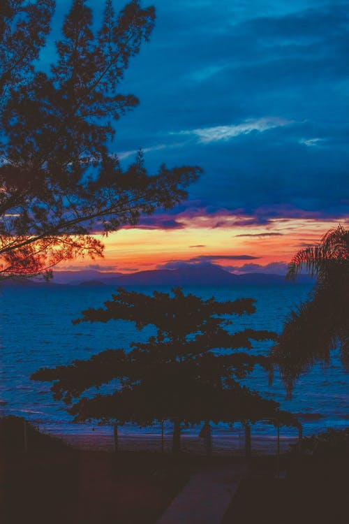 有關(guān)重陽節(jié)祝福語大全