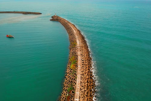 古代穿成代嫁農(nóng)女小說蘇清晚蕭長河全篇章閱讀