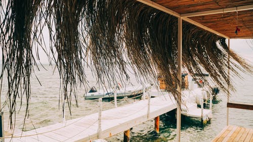 《漁父·漁父醒》譯文及賞析 《漁父·漁父醒》譯文及賞析