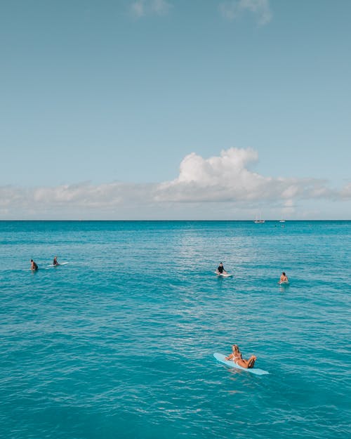 給偏執(zhí)狂夫君獻(xiàn)個(gè)吻小說古代宋軟謝忱搶先閱讀