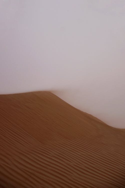 《愛(ài)情公寓4》經(jīng)典臺(tái)詞