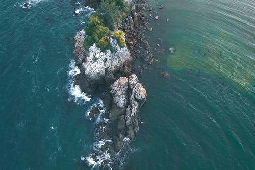 閱讀文言文的技巧 閱讀文言文的技巧