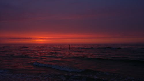 2020年精選優(yōu)美文藝句子錦集90條 2020年精選優(yōu)美文藝句子錦集90條