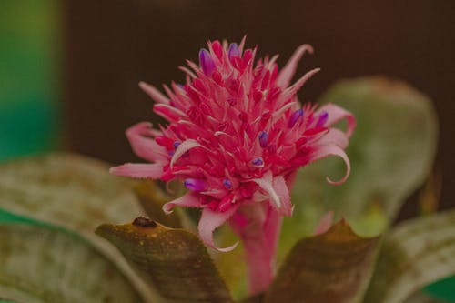 隨筆600字高中生關(guān)于青春懵懂3篇 隨筆600字高中生關(guān)于青春懵懂3篇