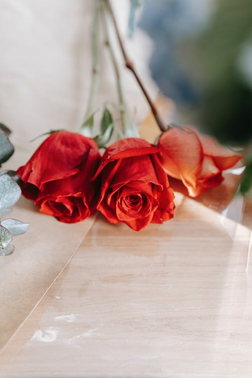 水仙子居庸關(guān)中秋對月賞析 水仙子居庸關(guān)中秋對月賞析