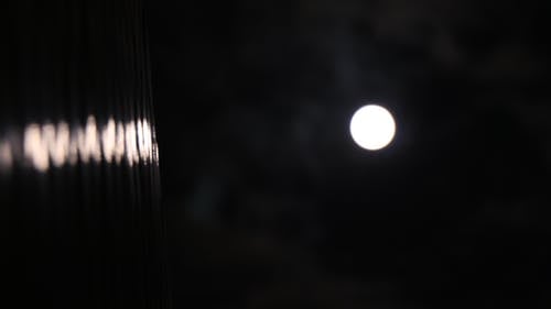 重生不負(fù)你深情雙重生小說白若曦顧俢宸整本閱讀