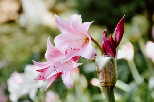 2020年送給朋友的感恩節(jié)QQ祝福語35條