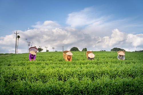 關(guān)于五年級(jí)日記模板合集七篇 關(guān)于五年級(jí)日記模板合集七篇