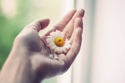 對老師的感謝的詩句 對老師的感謝的詩句