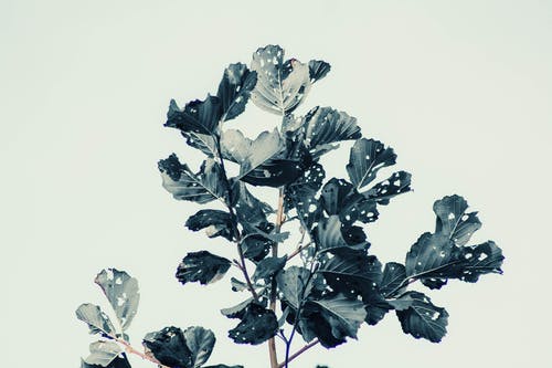 【熱門】三年級日記三篇 【熱門】三年級日記三篇