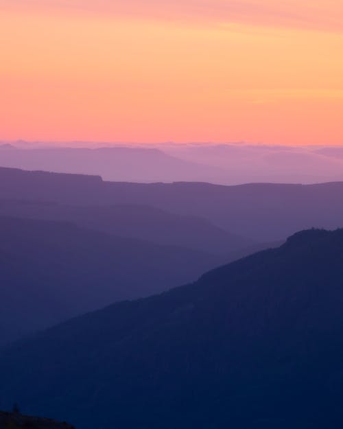 現(xiàn)代詩歌：我的味道