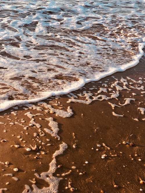 2020年春分祝福語36條 2020年春分祝福語36條