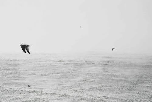 逆襲龍庭戰(zhàn)神小說韓晨江夢瑩無錯(cuò)版閱讀