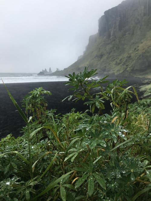 酬張卿夜宿南陵見贈賞析及譯文注釋 酬張卿夜宿南陵見贈賞析及譯文注釋