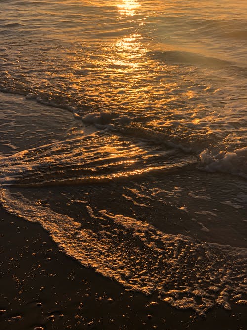 二年級日記模板九篇 二年級日記模板九篇