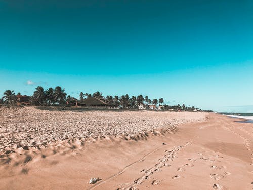 2021年優(yōu)美文藝句子摘錄70句 2021年優(yōu)美文藝句子摘錄70句