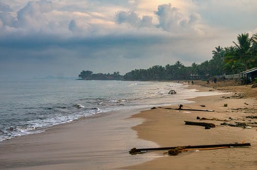 五一日記范文集錦5篇