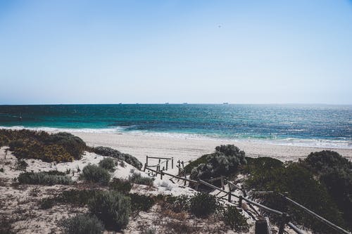 2020年表達除夕快樂的祝福語錦集58句