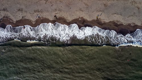 玄幻重生開局變成野兔陳宇琳娜小說章節(jié)閱讀