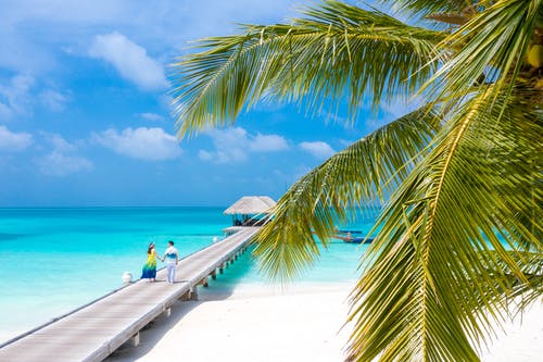 九龍殿主小說by日當(dāng)午林凡蘇嫣然無彈窗閱讀 九龍殿主小說by日當(dāng)午林凡蘇嫣然無彈窗閱讀