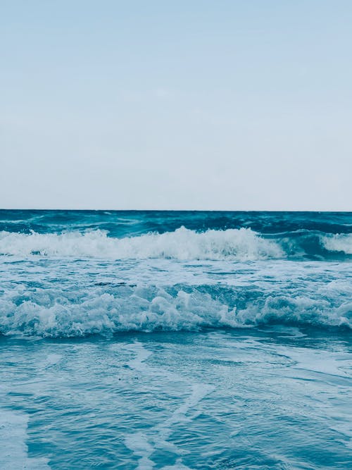 爆火沈家二小姐回國(guó)了小說(shuō)沈語(yǔ)沐顧昱城季晧霆全集閱讀 爆火沈家二小姐回國(guó)了小說(shuō)沈語(yǔ)沐顧昱城季晧霆全集閱讀