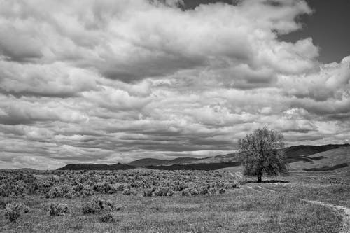 遠(yuǎn)得要命的愛(ài)情經(jīng)典臺(tái)詞 遠(yuǎn)得要命的愛(ài)情經(jīng)典臺(tái)詞