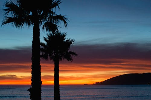 2020年溫馨春節(jié)祝福語(yǔ)微信錦集72條 2020年溫馨春節(jié)祝福語(yǔ)微信錦集72條