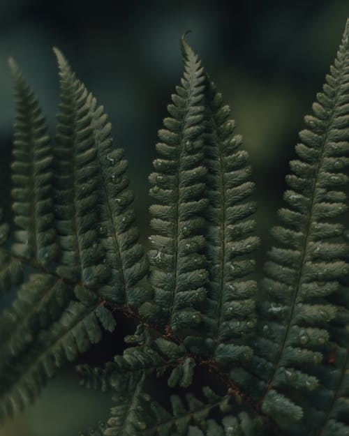 【精品】六年級(jí)日記范文集合九篇 【精品】六年級(jí)日記范文集合九篇