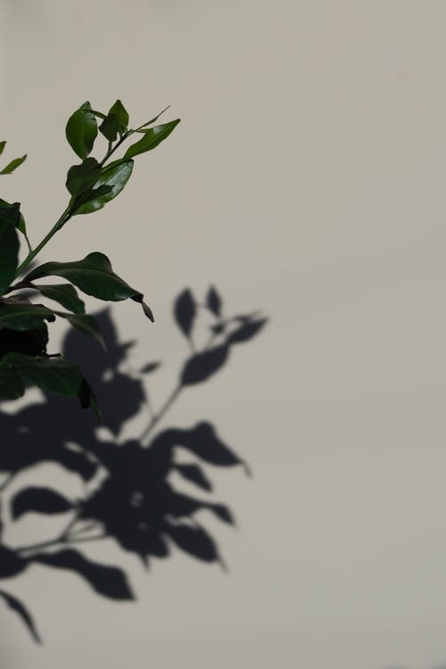 現(xiàn)代詩歌:外婆 現(xiàn)代詩歌:外婆